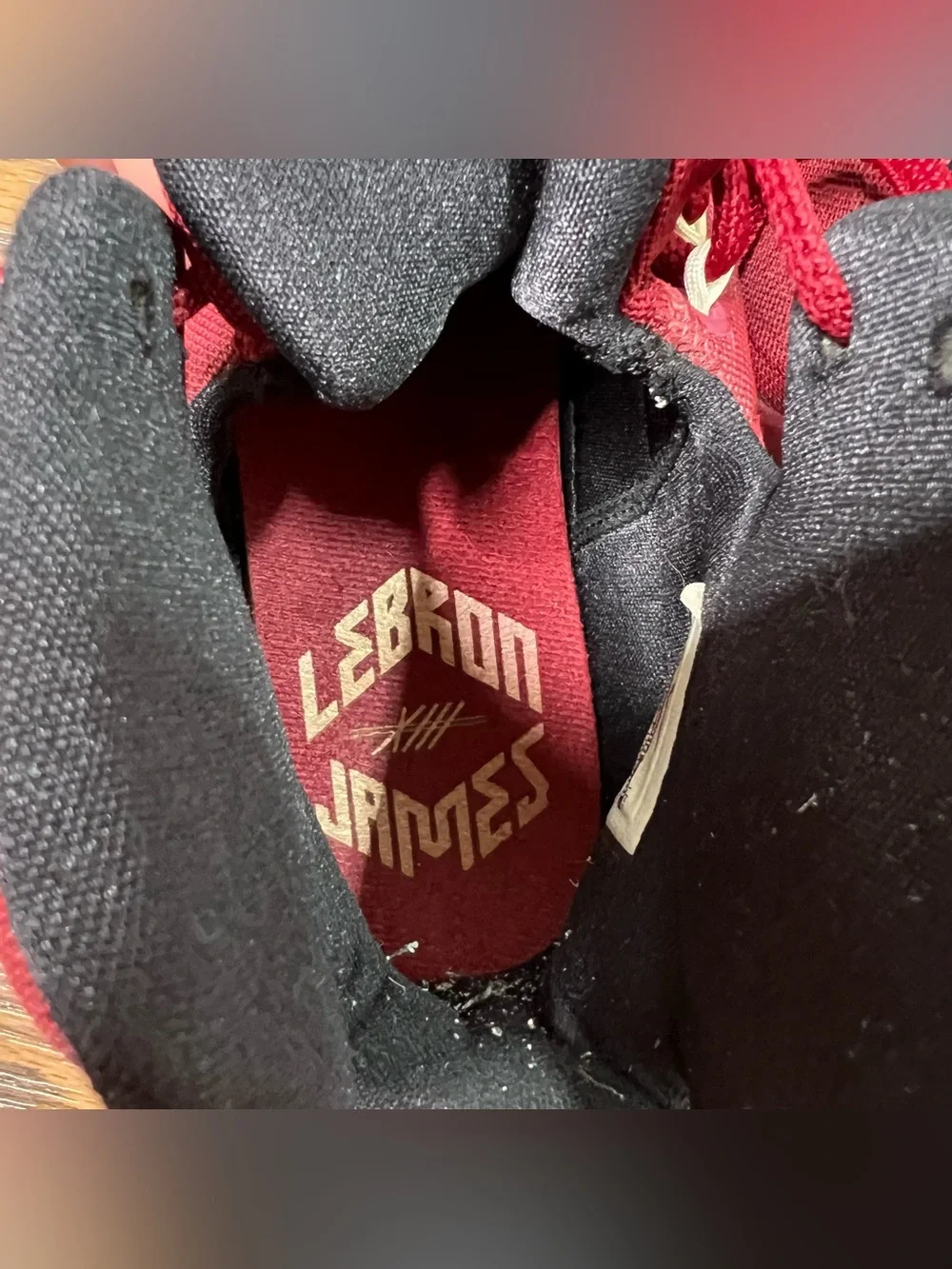 Nike LeBron 13 sneakers in the 